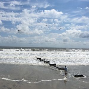 Meet your Posher, Lorraine